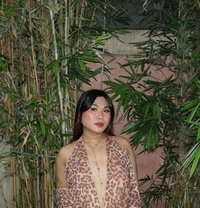 Nadya - Transsexual escort agency in Makati City