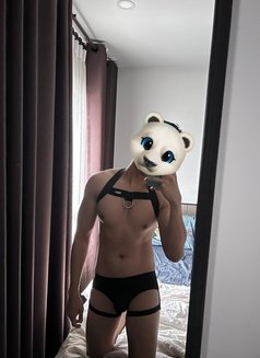 Naeem🇹🇭 Massage Services - Male escort in Muscat Photo 15 of 15