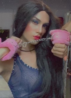 Naira Shaikh - Transsexual escort in Mumbai Photo 4 of 4