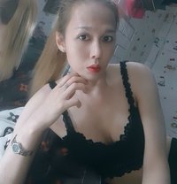 Nam Mi - Transsexual escort in Ho Chi Minh City