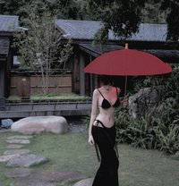 Lan - Male escort in Doha