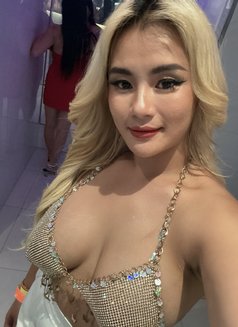Nan Cutie Phuket - escort in Phuket Photo 1 of 9