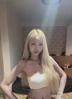 Nan - Transsexual companion in Bangkok Photo 2 of 12