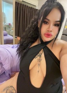 Nana bbw girl - escort in Bangkok Photo 17 of 17