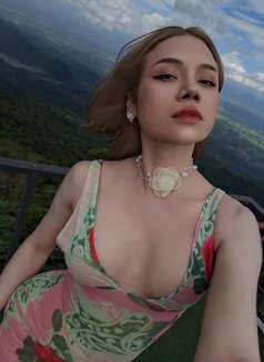 Nana Ladyboy - Transsexual escort in Bangkok Photo 8 of 15