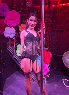 Nanai - Acompañantes transexual in Bangkok Photo 7 of 7