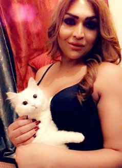 Nanasexy - Transsexual escort in Beirut Photo 14 of 16