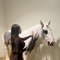 Sara - Transsexual escort in Dubai Photo 2 of 7