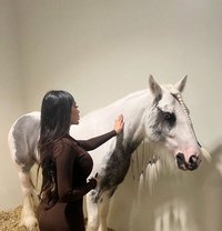 Sara - Transsexual escort in Dubai