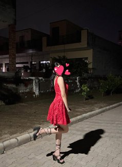 Nancy Independent Girl - escort in Chandigarh Photo 1 of 1