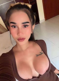 Nancy - escort in Doha Photo 2 of 12