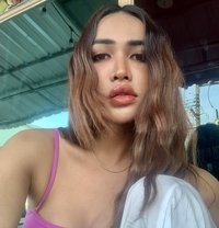 Nancy Lady Boy, Thailand - masseuse in Phuket