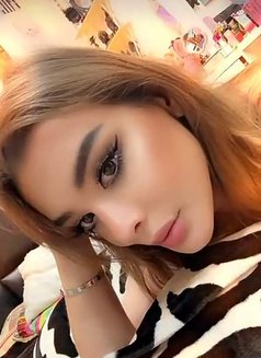 Nancy Nanooos - Transsexual escort in Amman Photo 1 of 4