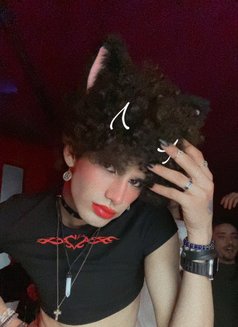 Nancy - Male escort in Tunis Photo 9 of 30