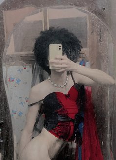 Nancy - Male escort in Tunis Photo 21 of 30