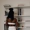 Nancy - escort in Beirut Photo 4 of 13