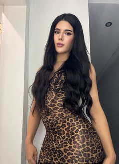 Nani🇸🇦 - Acompañantes transexual in Jeddah Photo 20 of 29
