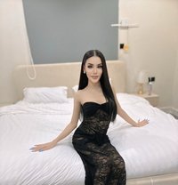 Nanny - Transsexual escort in Riyadh