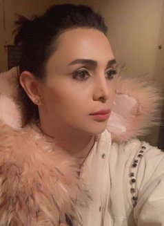 KOKO - Transsexual escort in Beirut Photo 7 of 16