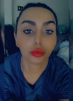 KOKO - Transsexual escort in Beirut Photo 14 of 16