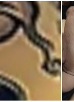 Karoline - Transsexual escort in Beirut Photo 21 of 23