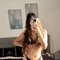 Nano Dubai full service - escort in Dubai