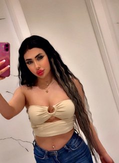 Nano - escort in Erbil Photo 1 of 3