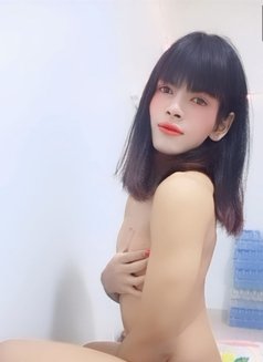 Nanzy Young Ladyboy - Transsexual escort in Muscat Photo 3 of 6