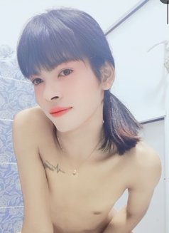 Nanzy Young Ladyboy - Transsexual escort in Muscat Photo 5 of 6
