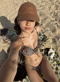 Tyla - Transsexual escort in Barcelona Photo 3 of 7