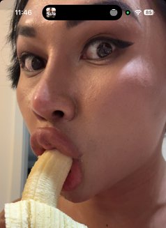 Napa Thai #vip - Transsexual escort in Phuket Photo 5 of 30