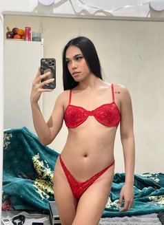 Napdao New Ladyboy - Transsexual escort in Doha Photo 7 of 7