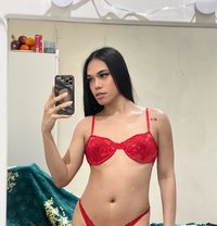 Napdao New Ladyboy - Transsexual escort in Doha
