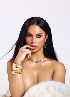 🧡🧡NARA VALENTINE VVIP🧡🧡. NEW ARRIVED - Transsexual escort in Abu Dhabi Photo 15 of 15
