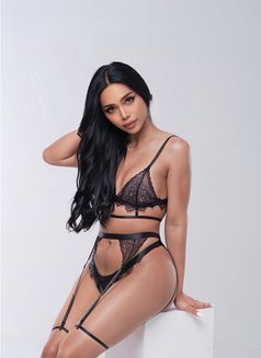 🦋🦋NARA VALENTINE VVIP🦋🦋. NEW ARRIVED - Acompañantes transexual in Abu Dhabi Photo 9 of 12