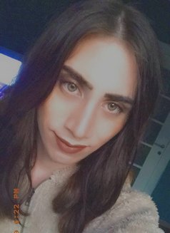 Nargis_Shemale / نرجس خنثى 22 سم اسطنبول - Acompañantes transexual in İstanbul Photo 17 of 19