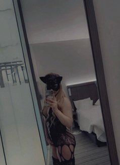 Narin - escort in Baku Photo 19 of 25