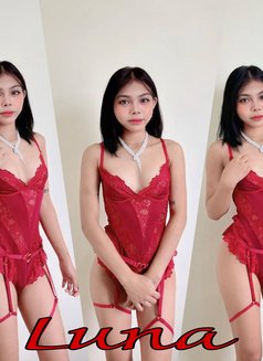 Narra Ladies (Nuru) - escort in Manila Photo 12 of 16