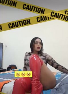 Nassie - Transsexual escort in Kuwait Photo 1 of 14