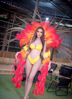 Nassty - escort in Phuket Photo 4 of 6