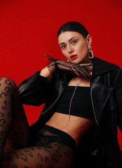 Nastya 🖤 - escort in Beirut Photo 12 of 19