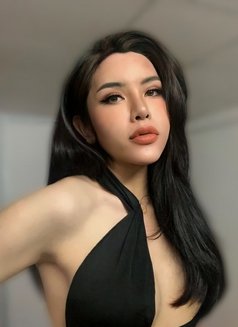 Kames Ladyboy - Acompañantes transexual in Ho Chi Minh City Photo 1 of 1