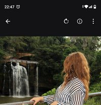 Natalia - puta in Kentville