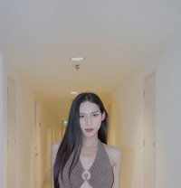 Natasa Hot Sexy - Transsexual escort in Riyadh