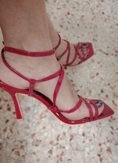 Natasha 755 - puta in Beirut Photo 3 of 8
