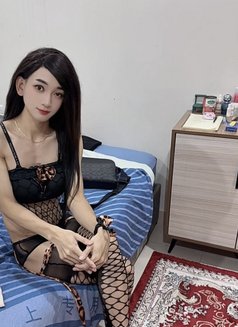 Natasha - Transsexual escort in Dammam Photo 10 of 12