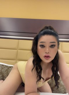Natasha Ladyboy Professional Massage - Acompañantes transexual in Dubai Photo 1 of 7
