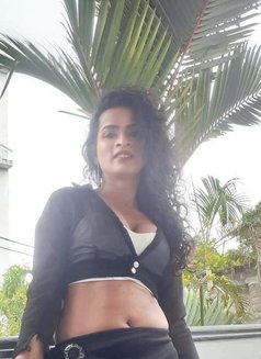 Natasha Perera - Transsexual escort in Colombo Photo 3 of 5