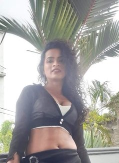 Natasha Perera - Acompañantes transexual in Colombo Photo 3 of 5