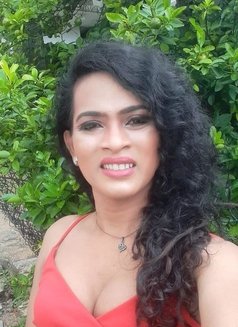 Natasha Perera - Transsexual escort in Colombo Photo 5 of 5